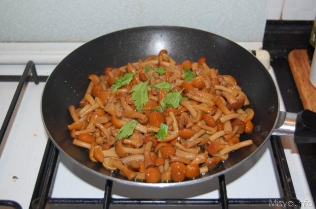 funghi-trifolati
