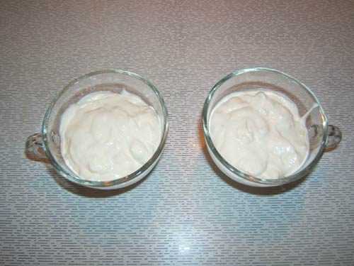 stratoyogurt.jpg
