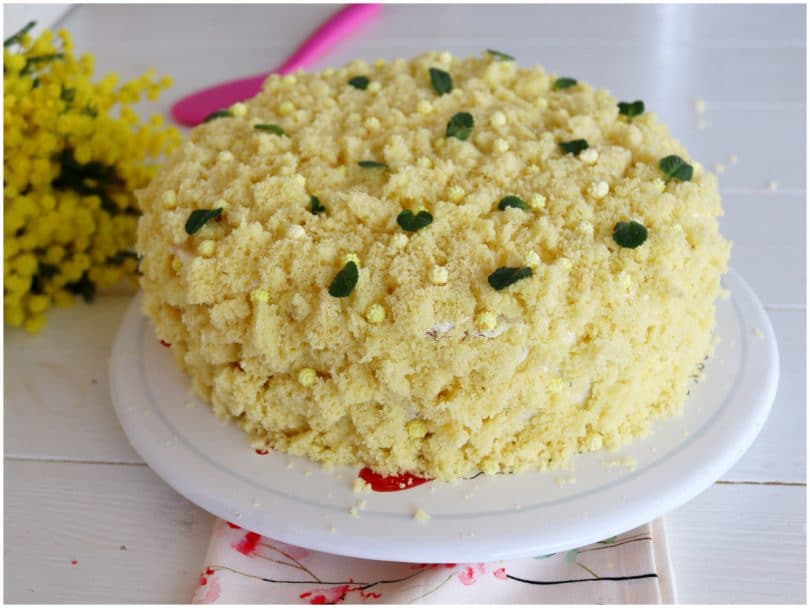 Torta Mimosa