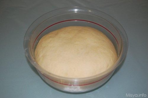 impasto-brioche-lievitato