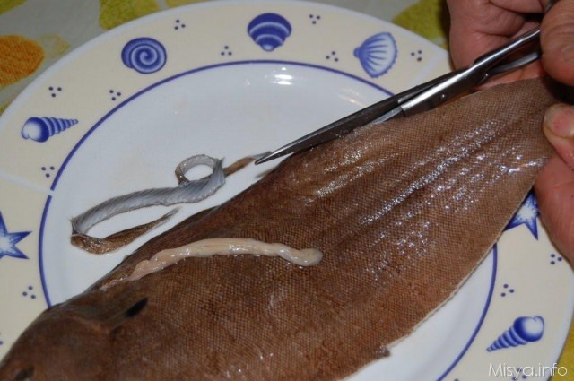 sogliola-alla-mugnaia (2)
