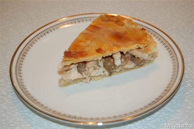 pasticcio-di-pollo