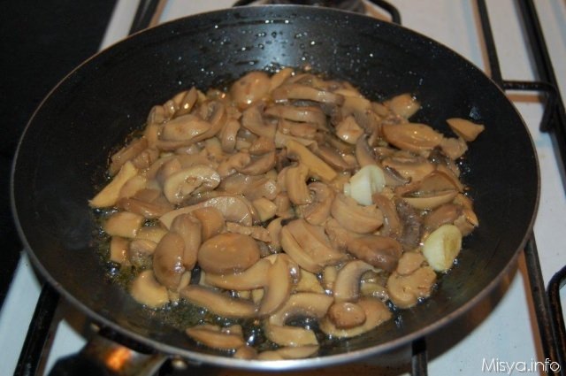 funghi champignon