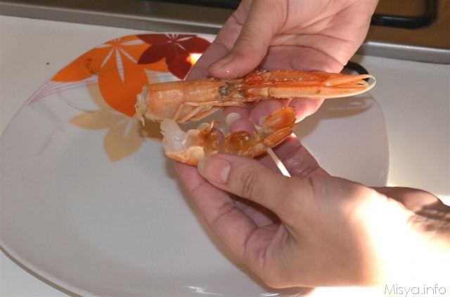 scampi