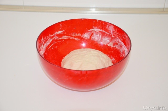 impasto prima di lievitare