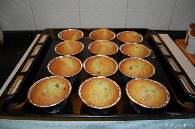muffin mentacioc2