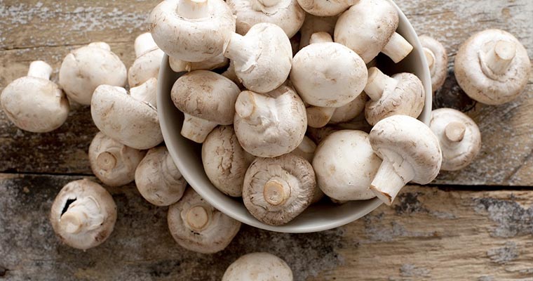 Funghi Champignon