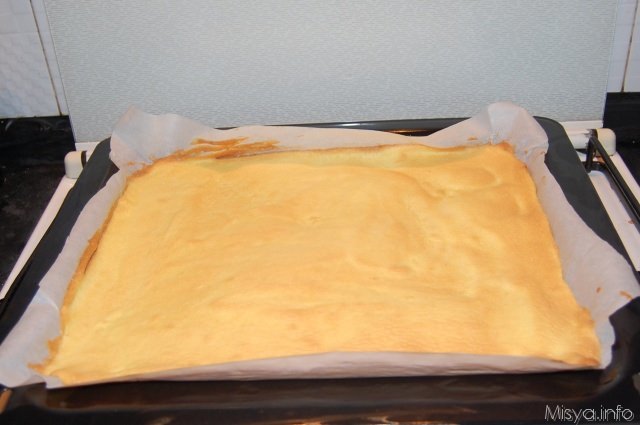 base rotolo