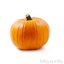 Zucca