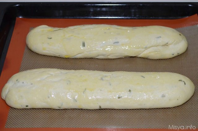 ciabatte lievitate