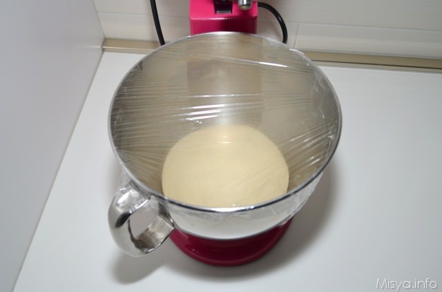 impasto lievitato