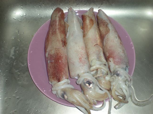 1 calamari