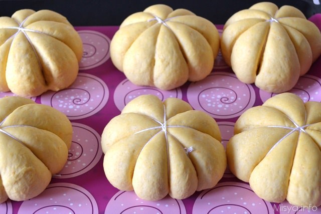 9 panini zucca legati cresciuti