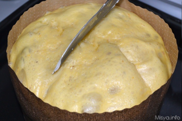 19 panettone