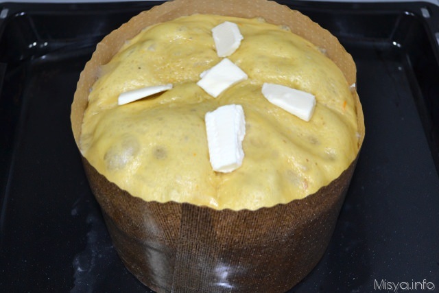 20 panettone