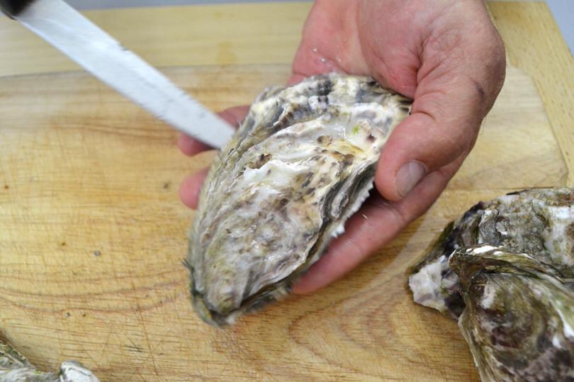 2b aprire con coltellino