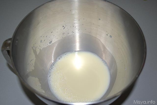focaccine di soia 1