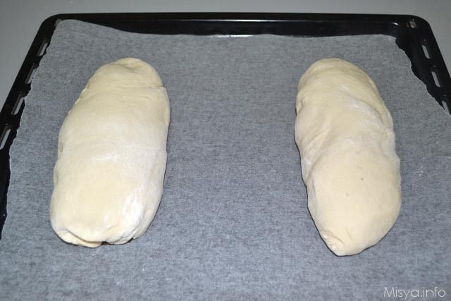 pane con il lievito madre 11