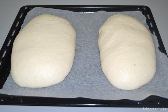 pane con il lievito madre 12