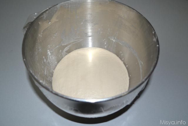 pane con il lievito madre 9