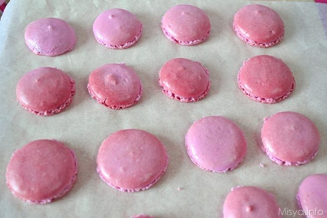 macarons-alle-fragole-9