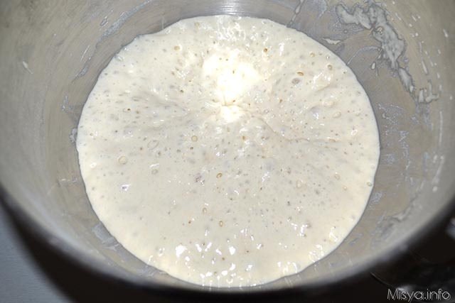 Pane ciabatta 1