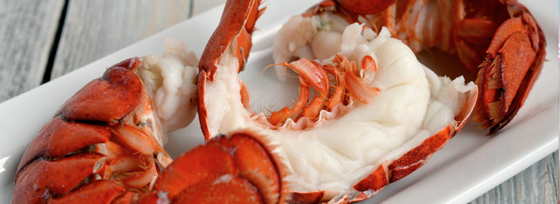 Come cucinare l’astice