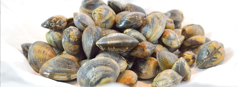 Come pulire le vongole