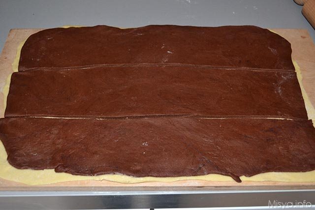 treccia bicolore 12