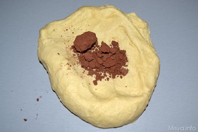 treccia bicolore 6