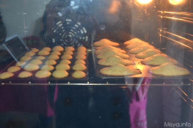Madeleine 10