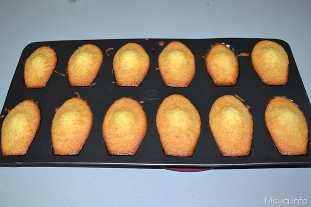 Madeleine 11