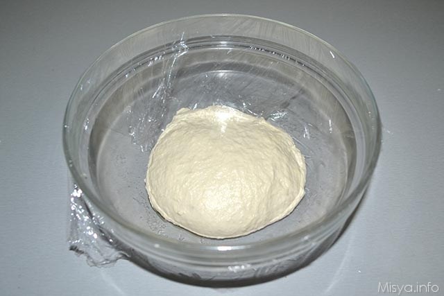 Focaccia con esubero di pasta madre 6