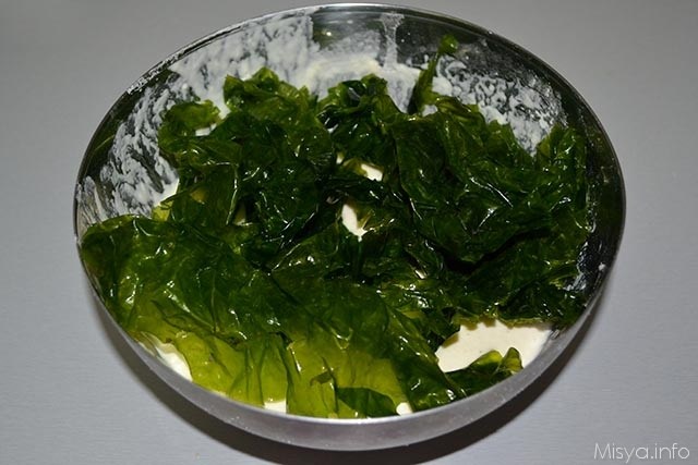 Frittelle di alghe 5