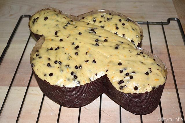 colomba al cioccolato 38