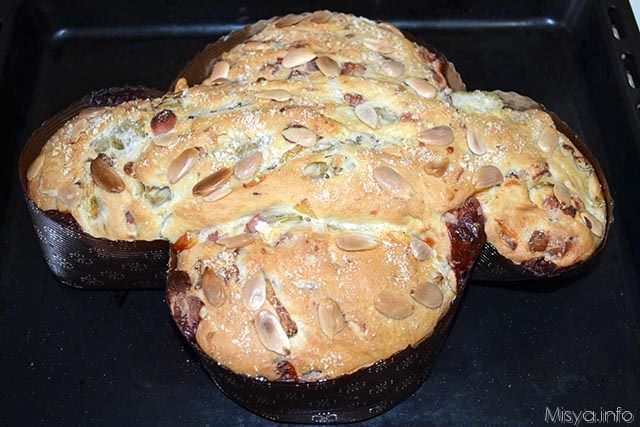 colomba salata 17