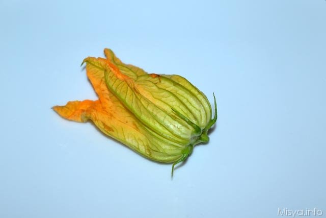 Fiori di zucca e gamberi in pastella 6