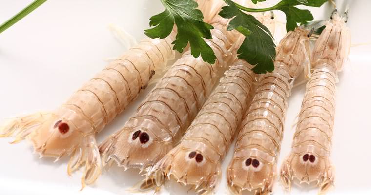 Cicale Di Mare