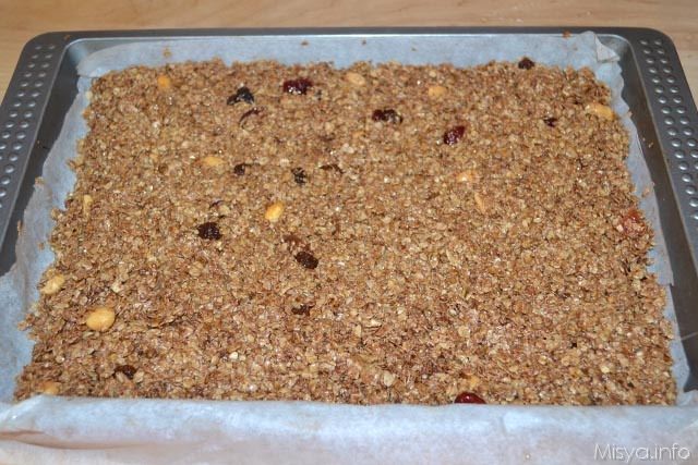 flapjack 9