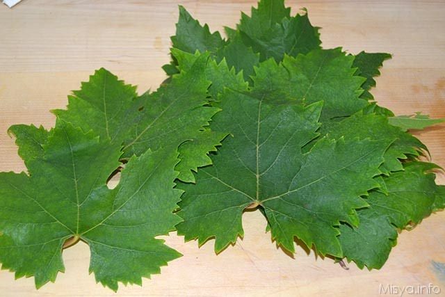 Dolmades 1