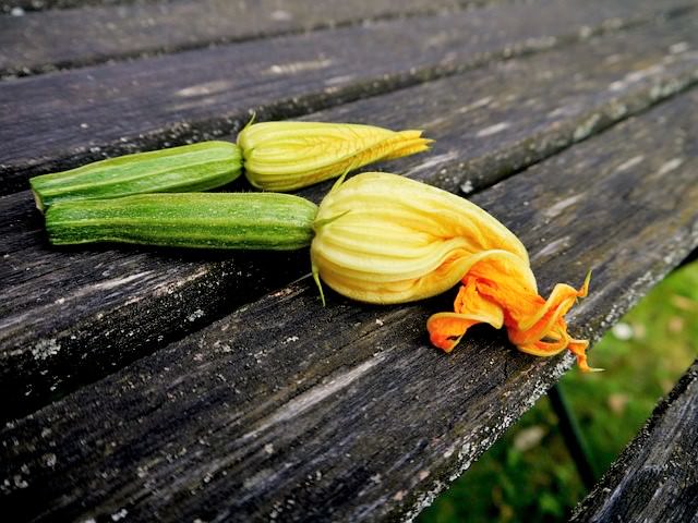 cucinare zucchine