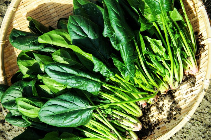 pulire spinaci
