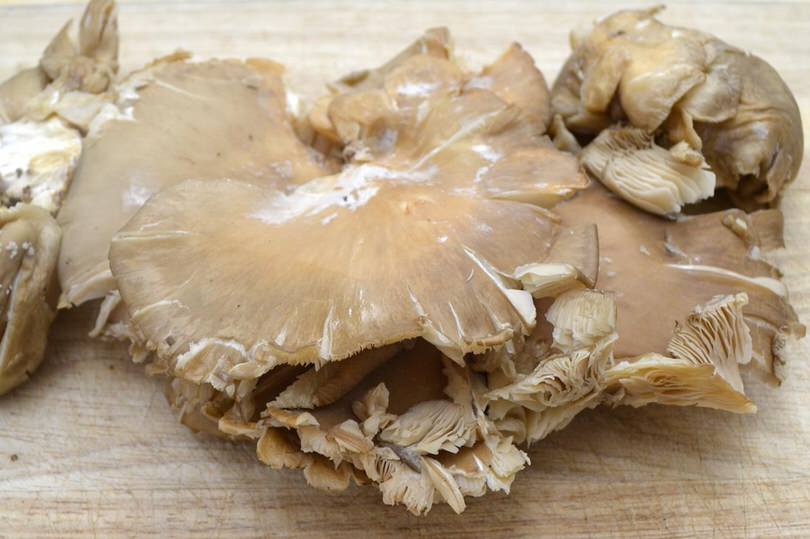 1 pulire funghi