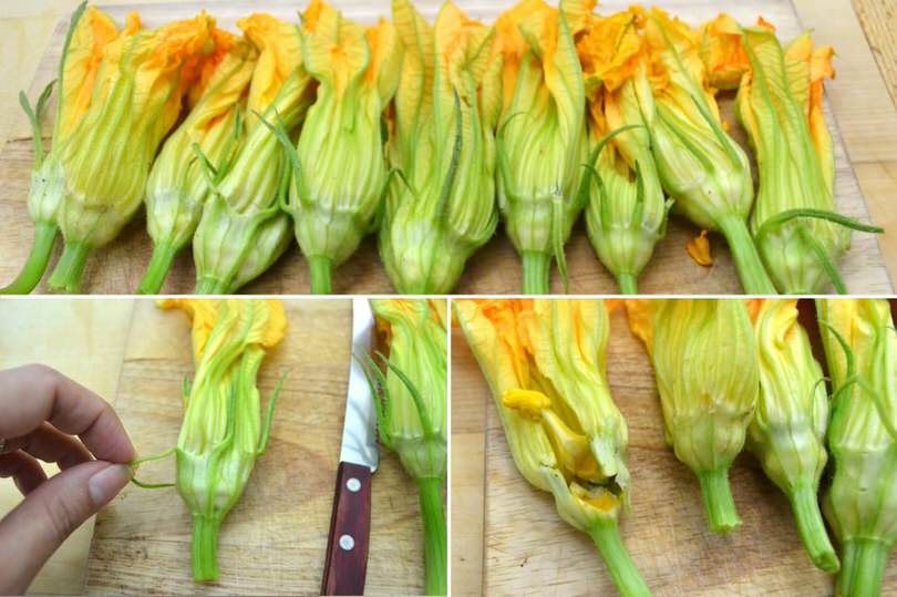 1 pulire fiori di zucca