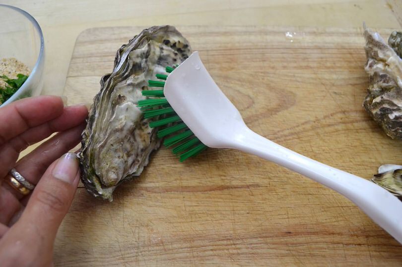 1 spazzolare ostriche