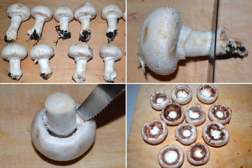 1-pulire-funghi