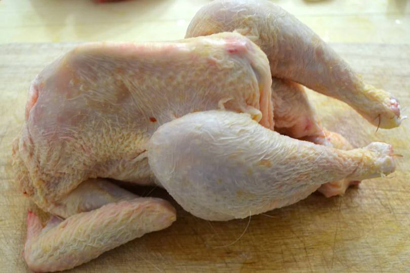 3-pollo