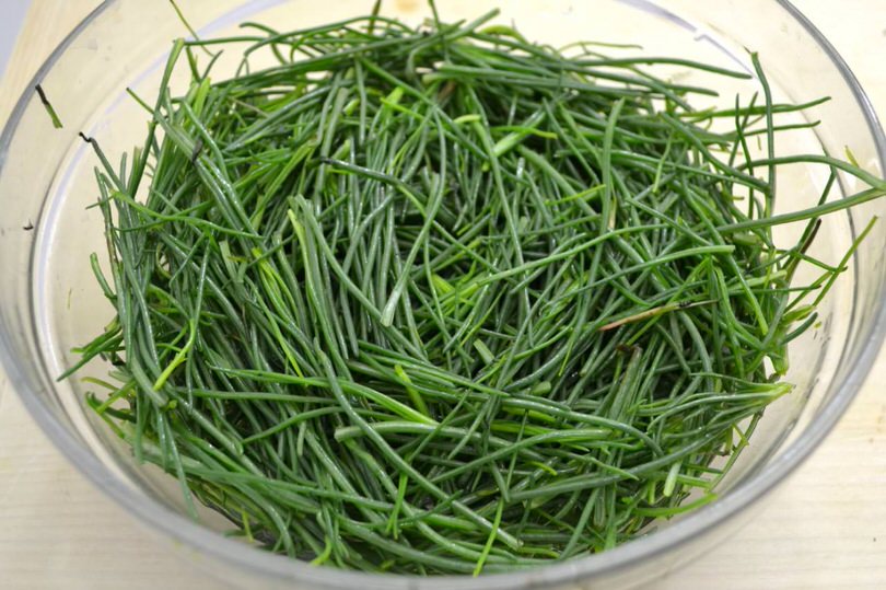2 agretti puliti
