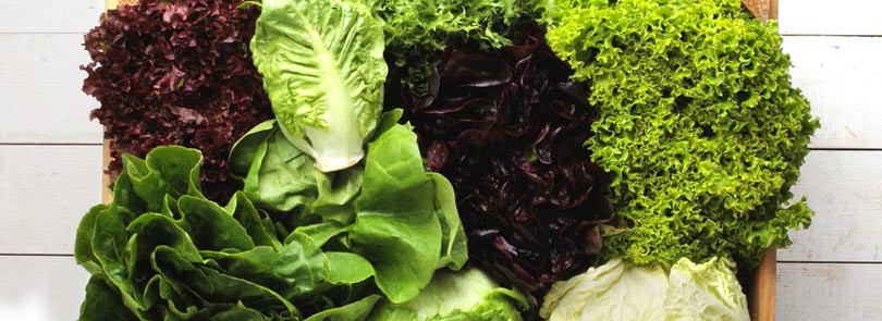 TIPOLOGIE DI INSALATA