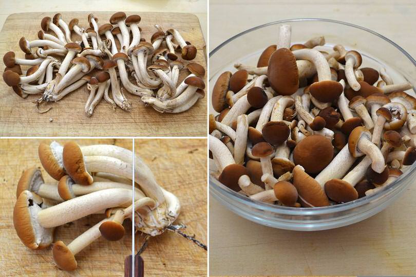 1 pulire funghi